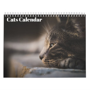Bengal Cats 2027 Calendar