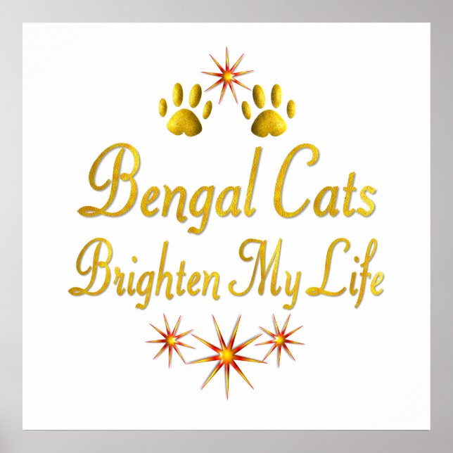 Bengal Cats Brighten My Life Poster (Front)