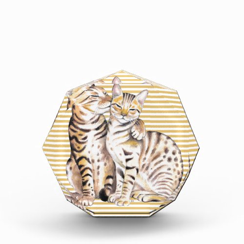 Bengal Cats Ochre Stripes Award
