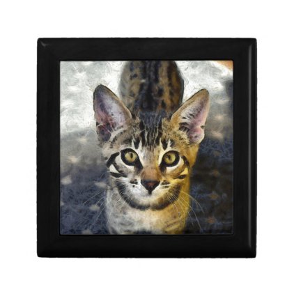 Bengal Cute Kitten Jewelry Box