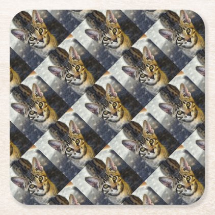 Bengal Cute Kitten Square Paper Coaster