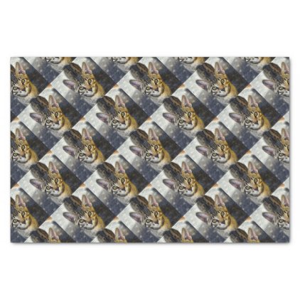 Bengal Cute Kitten Tissue Paper