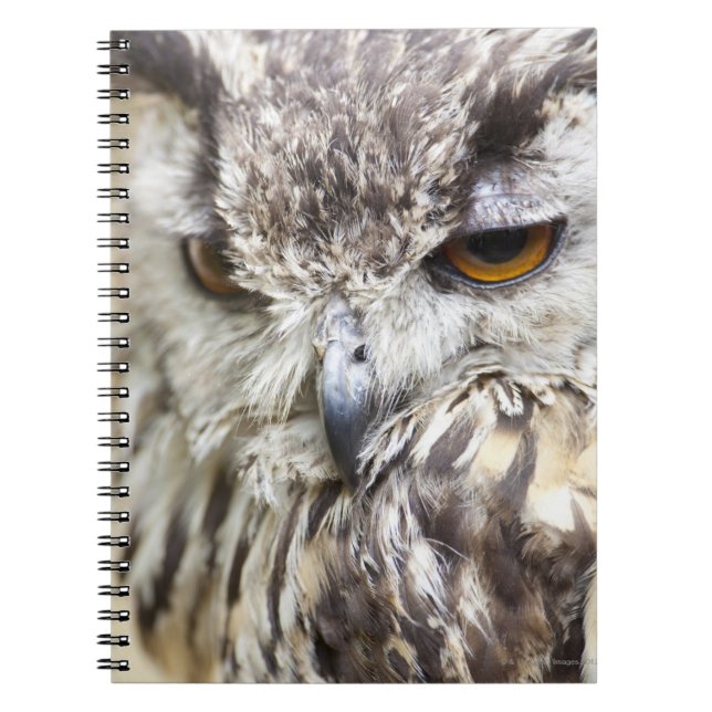 Bengal Eagle Owl Notebook (Front)