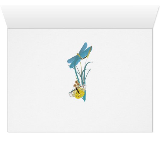 Bengal Field of Flowers (Inside Horizontal (Bottom))