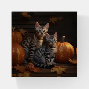 Bengal Kitten Autumn Delight Pumpkin Paperweight