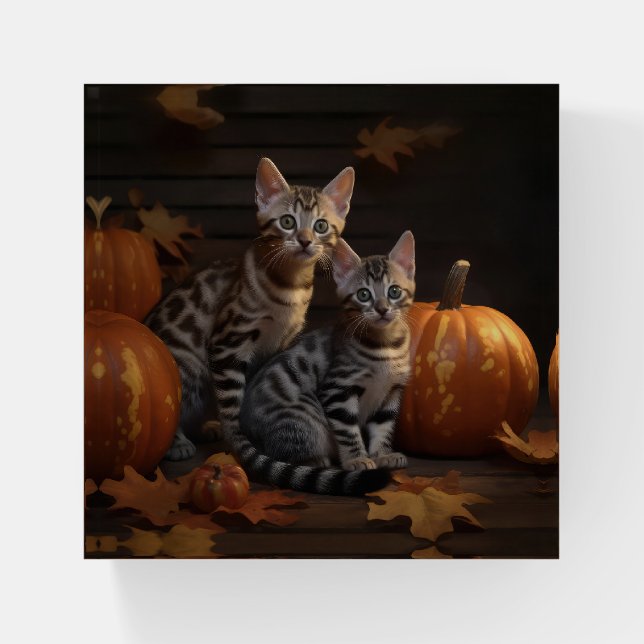 Bengal Kitten Autumn Delight Pumpkin  Paperweight (Front)