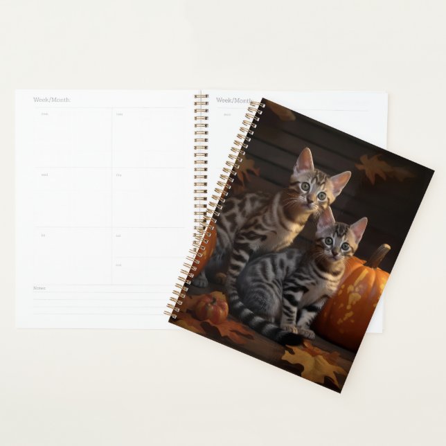 Bengal Kitten Autumn Delight Pumpkin  Planner (Display)