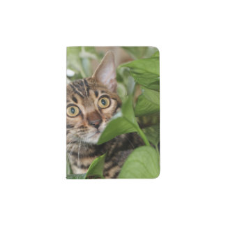 BENGAL KITTEN IN POTHOS PASSPORT HOLDER