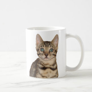 Bengal Kitten Mug