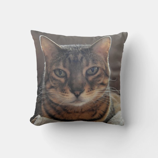 Bengal Love Throw Pillow (Front)