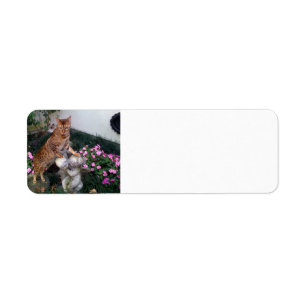 Bengal on statue label