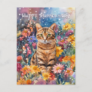 Bengal Postcrossing - Postcard