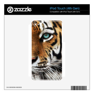 Bengal Tiger Animal Print Eye iPod Touch 4G Skins