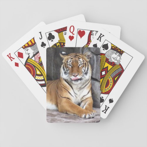 Bengal Tiger _ Bicycle Playing Cards