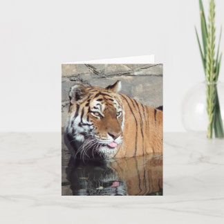 Bengal Tiger Blank Vertical Note Card