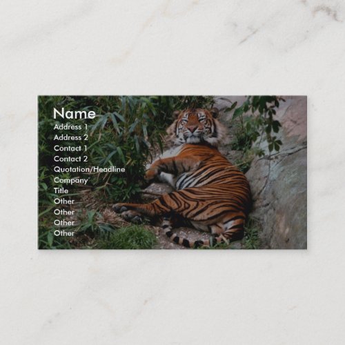 Bengal Tiger Business Card Template
