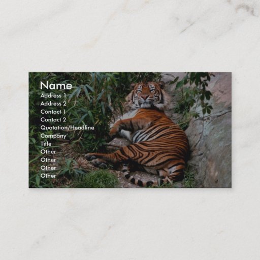 Customizable Bengal Tiger Business Card Template