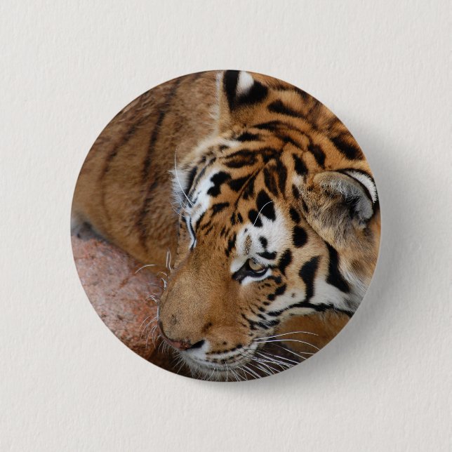Bengal Tiger Button (Front)