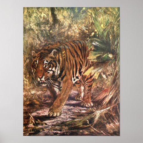 Bengal Tiger by CE Swan Vintage Wild Animal Poster