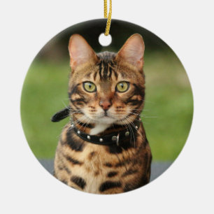 Bengal Tiger Cat Ceramic Ornament