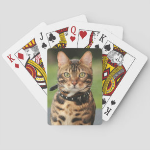 Bengal Tiger Cat Poker Cards