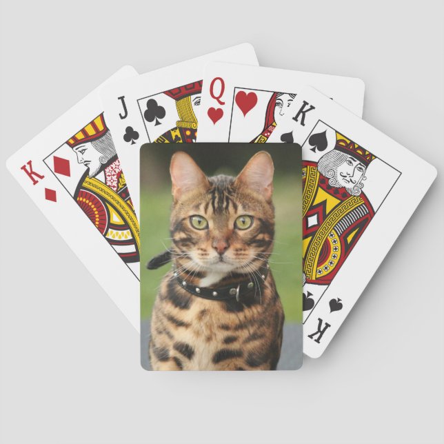 Bengal Tiger Cat Poker Cards (Back)