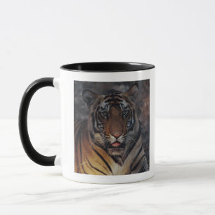 Bengal Tiger Cub Mug