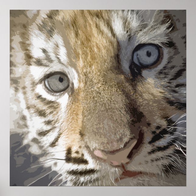 Bengal Tiger Cub Poster (Front)