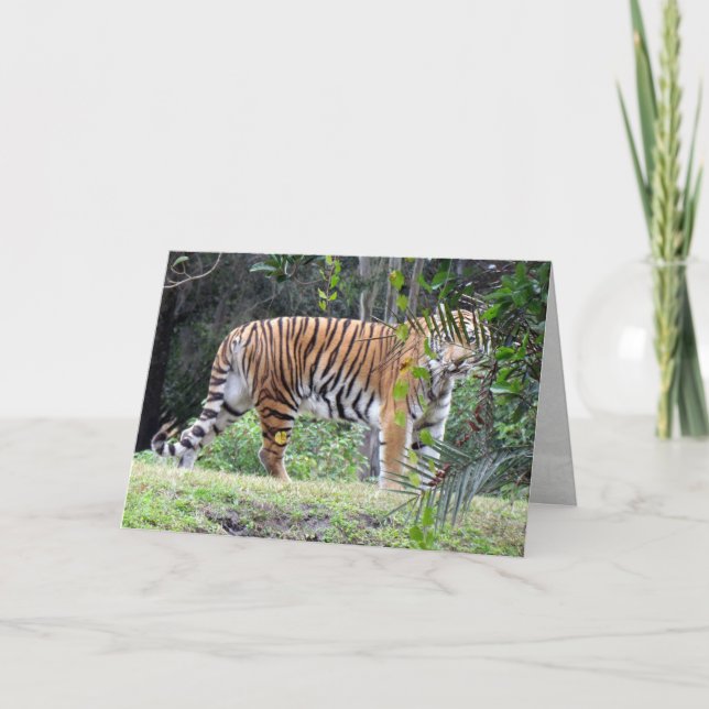 Bengal Tiger Greeting Card (Front)