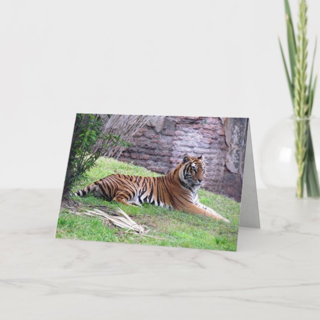 Bengal Tiger Greeting Card (Front)