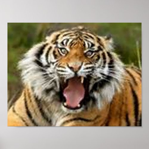 Bengal tiger in full rage beautiful poster design