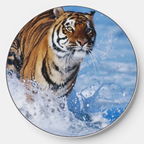 Bengal Tiger In Ocean Wireless Charger