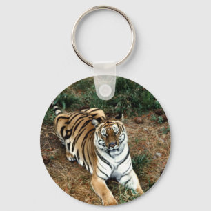 Bengal tiger keychain