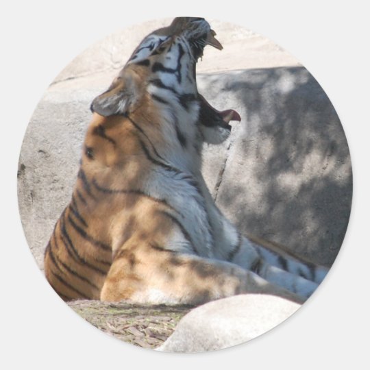 Bengal Tiger Love Classic Round Sticker