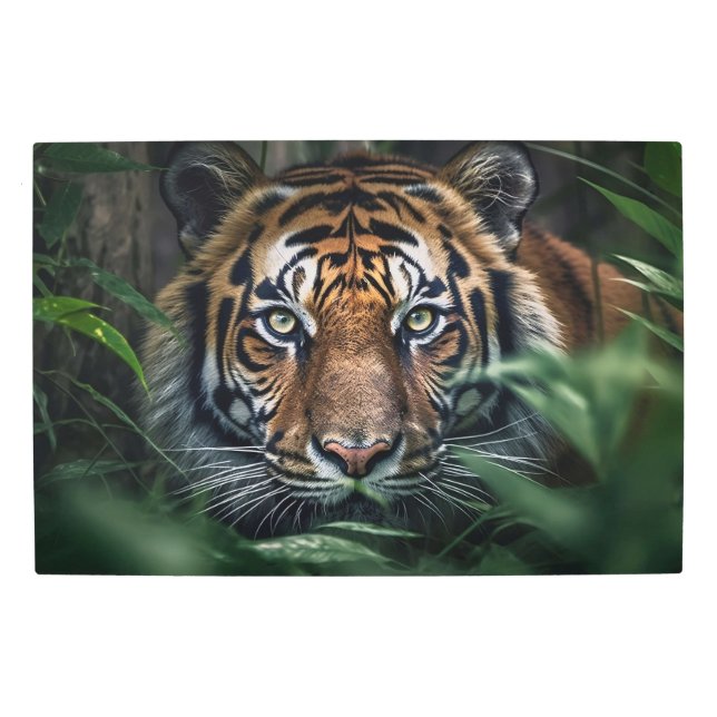 Bengal Tiger  Metal Print (Front)