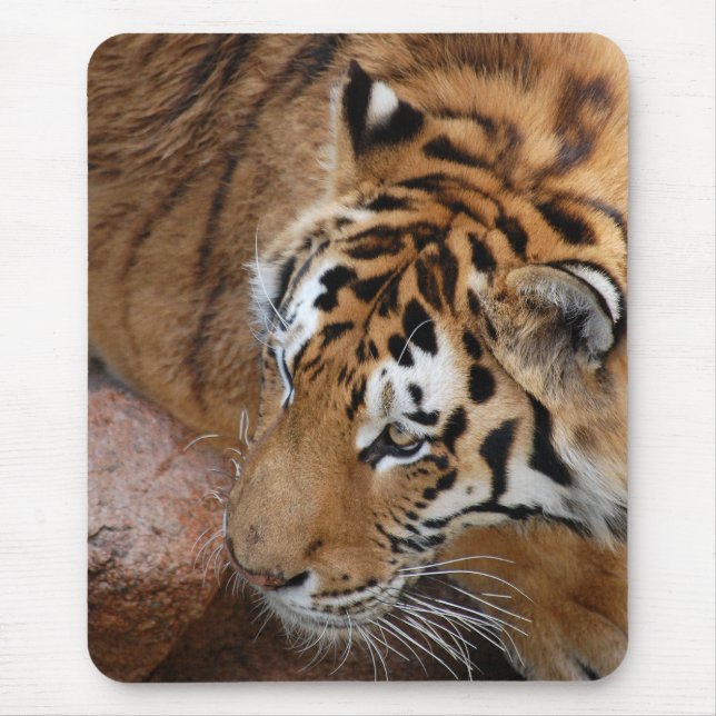 Bengal Tiger Mouse Pad (Front)