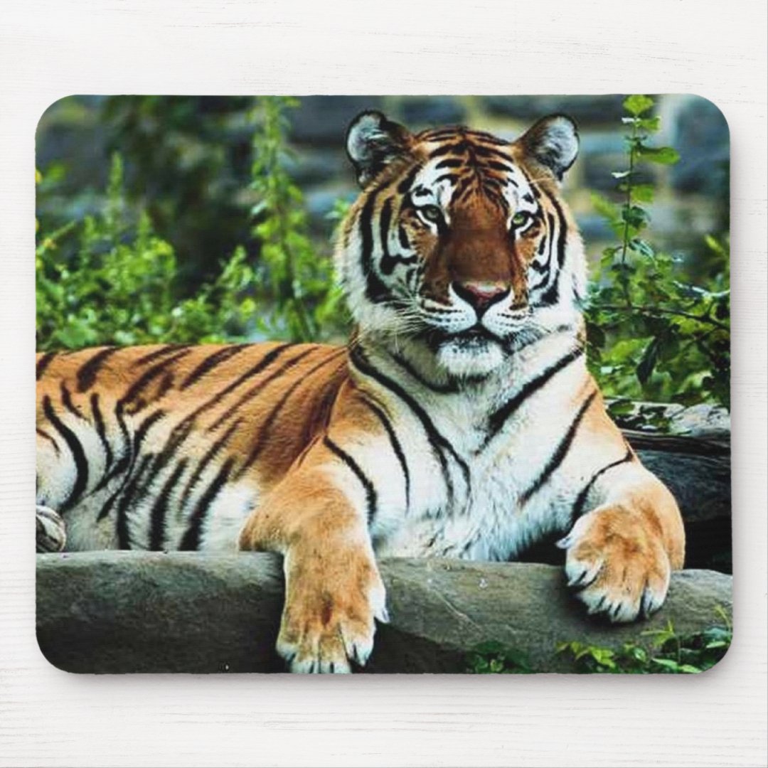 bengal tiger mouse pad | Zazzle