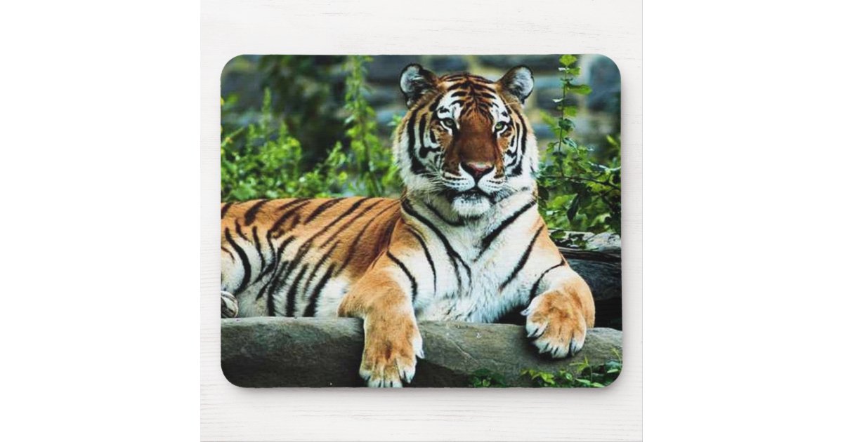 bengal tiger mouse pad | Zazzle