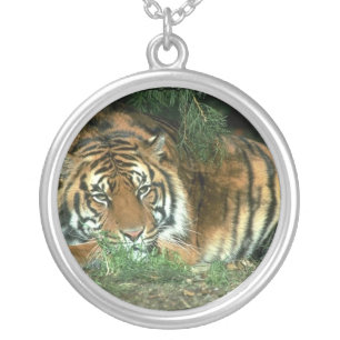 Bengal Tiger Necklace