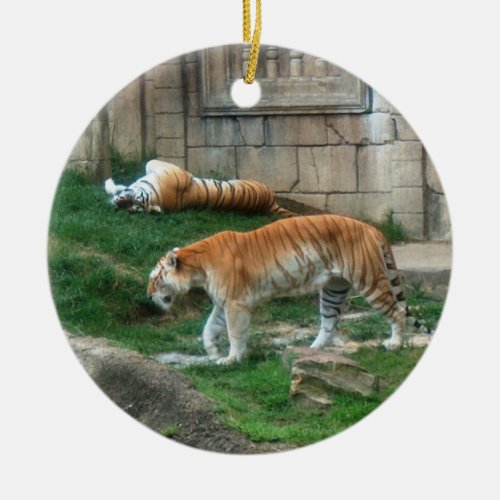 Bengal Tiger Ornament  Endangered Species Series