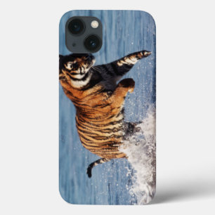 Bengal Tiger (Panthera Tigris) iPhone 13 Case