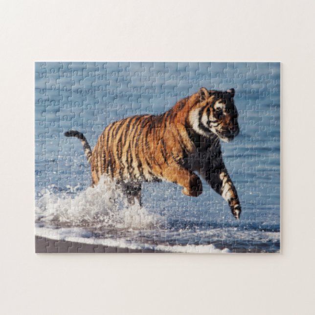 Bengal Tiger (Panthera Tigris) Jigsaw Puzzle (Horizontal)