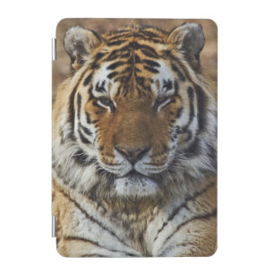 Bengal Tiger, Panthera tigris, Louisville Zoo, iPad Mini Cover