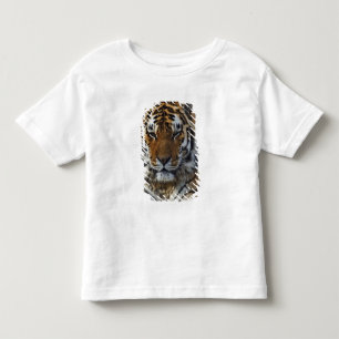 Bengal Tiger, Panthera tigris, Louisville Zoo, Toddler T-shirt
