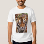 Tiger close T-Shirt | Zazzle