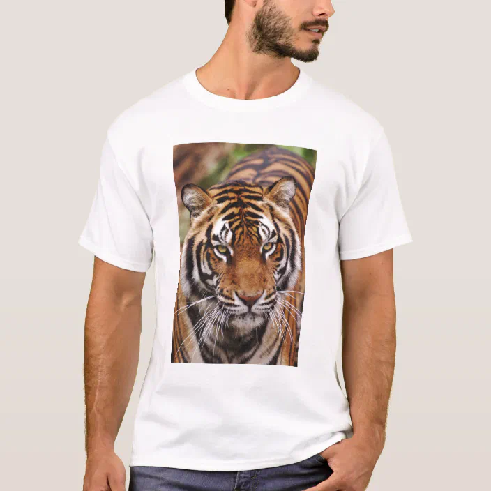 3XL Siberian White Bengal Tiger Pack 100% Cotton T-Shirt Front & Back Print M