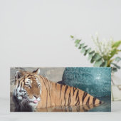 Bengal Tiger Photo Bookmark (Standing Front)