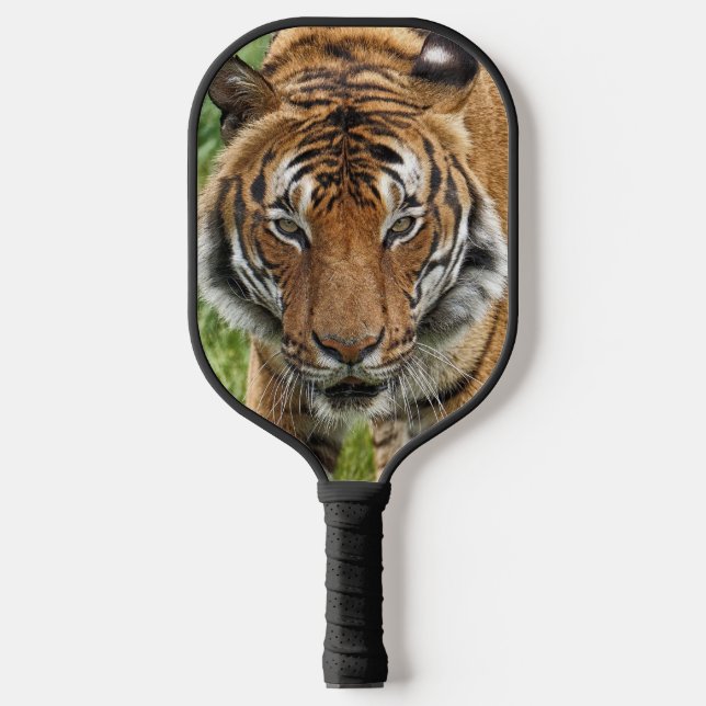 BENGAL TIGER PICKLEBALL PADDLE (Front)