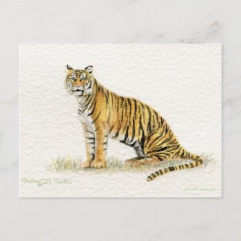 Bengal Tiger Postcard by mlmmlm777art at Zazzle