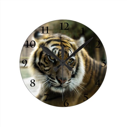 Bengal Tiger Round Clock